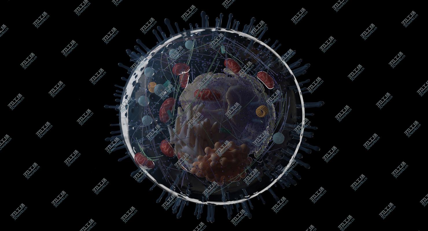 images/goods_img/2021040235/3D Human Cell/1.jpg